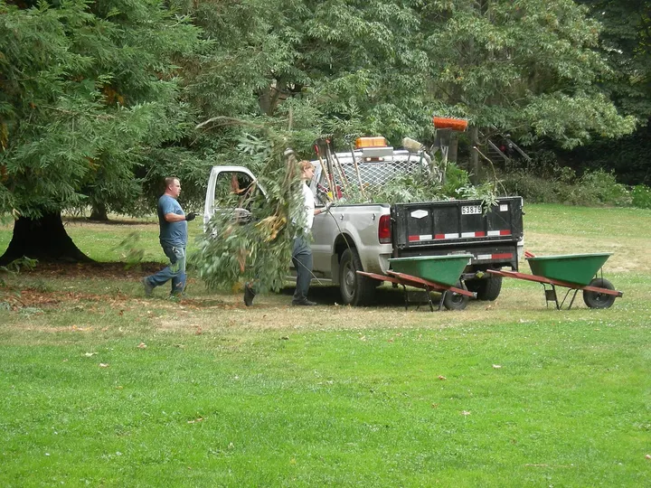 Our crew loading storm debris and trimmings on a residential job