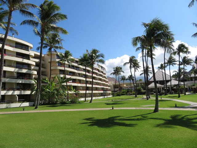 Commercial Landscape Renovation