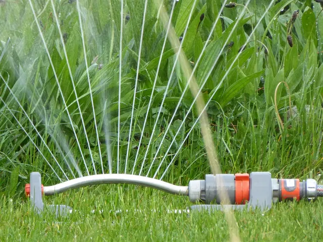 Irrigation system watering a healthy green lawn in the morning sun